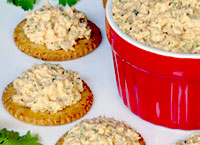 Southwest Chicken Spread